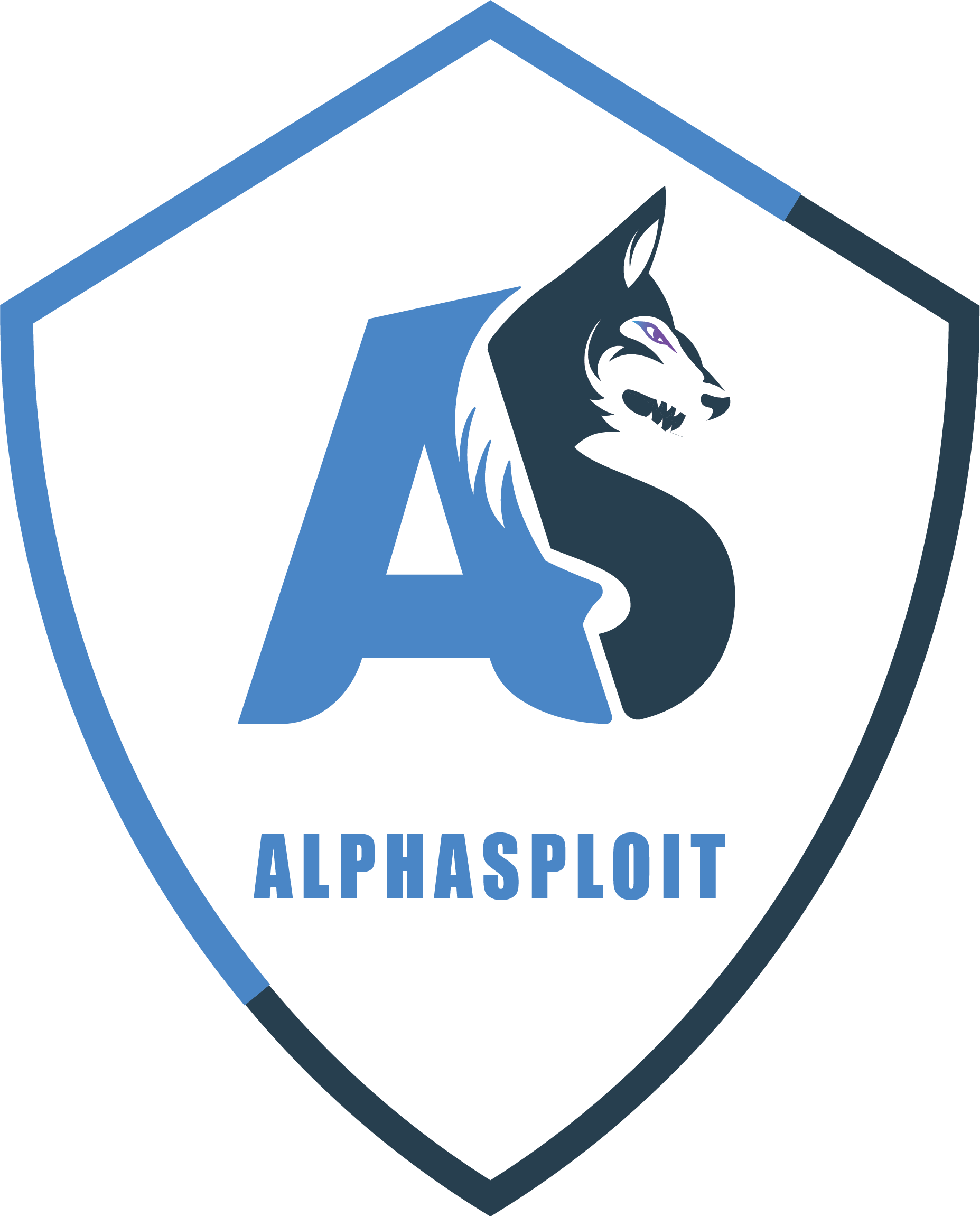 Cybersecurity Analyst Internship